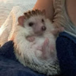 Meet your Posher, Brooke